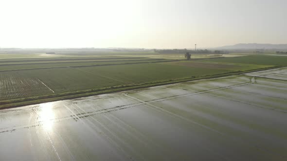 Aerial: flying over rice paddies, flooded cultivated fields farmland rural italian countryside