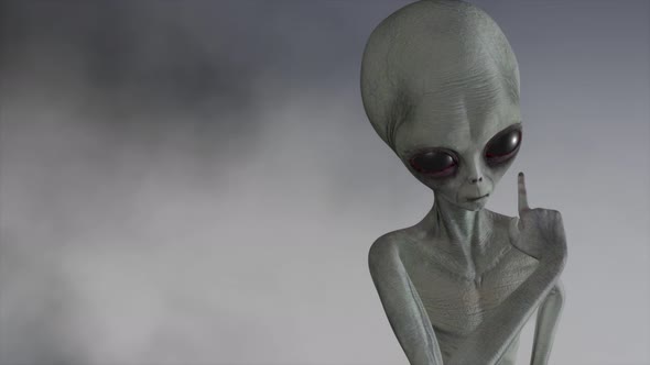 Scary Gray Alien Stands and Looks Blinking on a Dark Smoky Background alt