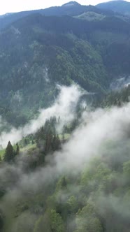 Vertical Video of Fog in the Mountains