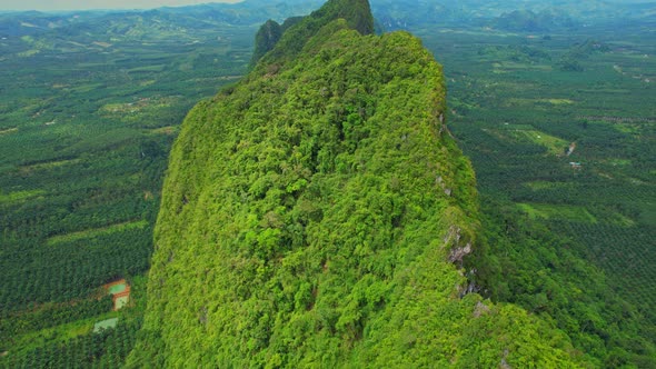 Drone fly over mountains, palm trees and coconut groves