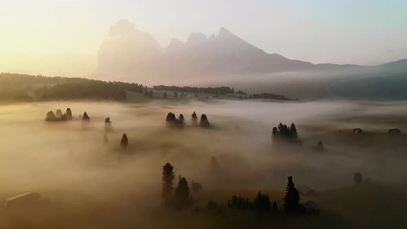 Summer sunrise in the mountains