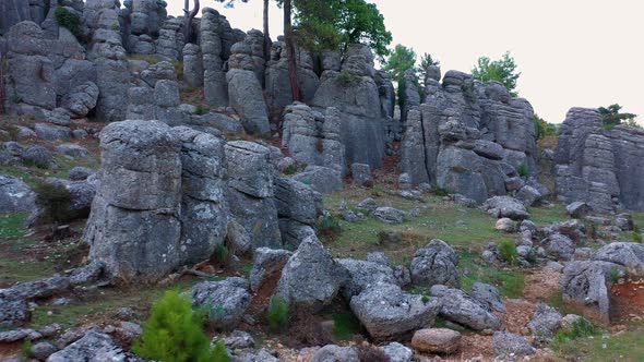 Rock Formations and Coniferous Trees on Mountain Slope on a Summer Day