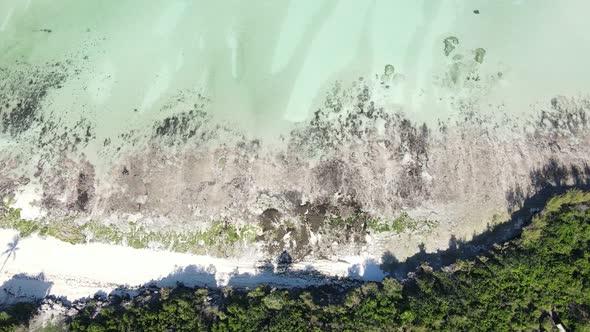 Indian Ocean Near the Shore of Zanzibar Tanzania