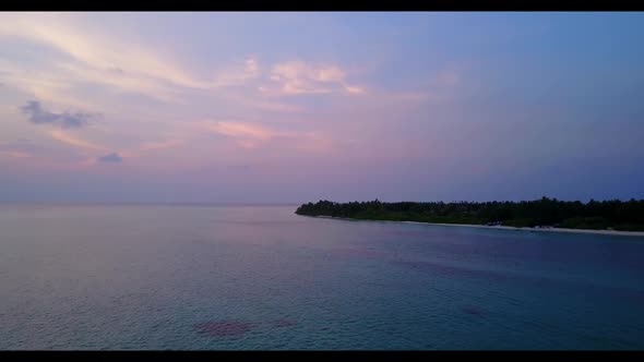 Aerial drone shot seascape of paradise seashore beach wildlife by blue sea and white sandy backgroun