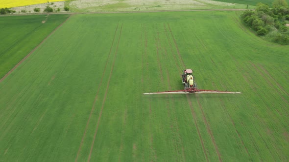 Aerial View of Farming Tractor Plowing and Spraying Green Wheat Field