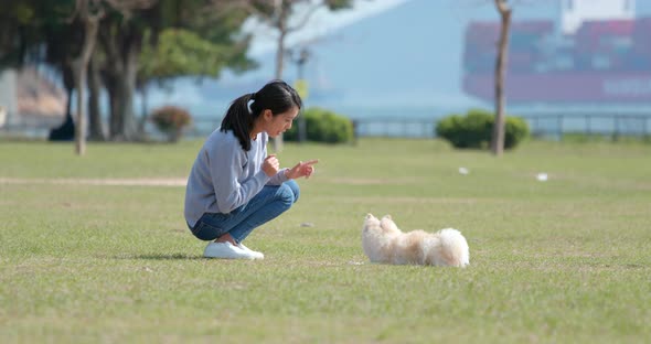 Young Woman training with her dog at outdoor park