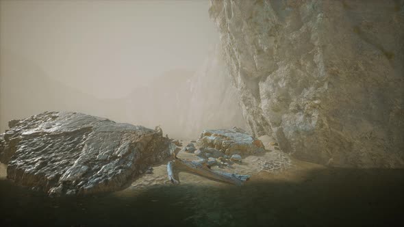 Rocky Cliff with Sand Beach in Deep Fog