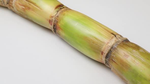 Piece of fresh sugarcane and a heap of cane sugar close up