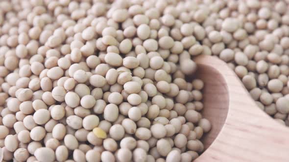 Scooping Soybeans Closeup