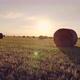 Wheat Field After Harvesting Straw Bales at Sunset - VideoHive Item for Sale