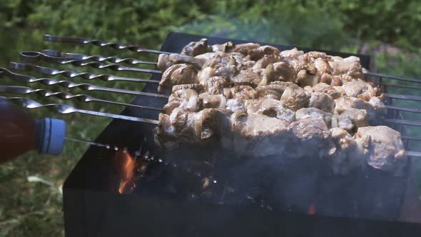 Roast Shish Kebab On The Brazier