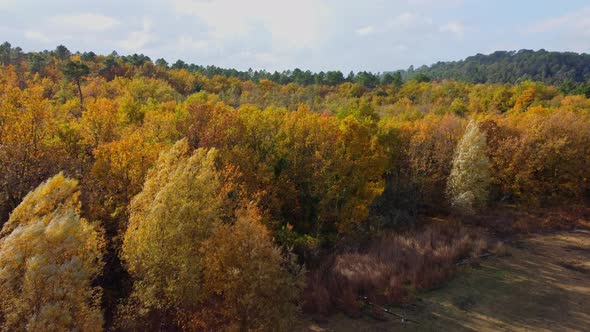 Wooded hills around the lake of Saint-Cassien in septembre in France seen from the sky