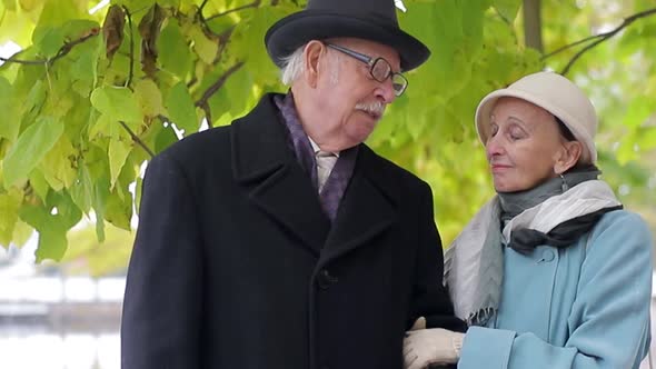 Concept of old age, retirement and people - happy senior couple walking in autumn city park