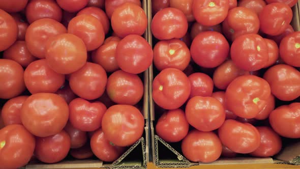 Ripe Tomatoes Stored in Boxes