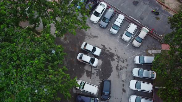 Aerial birds eye shot of many cars parking in area and birds flying away from tree,Malaysia