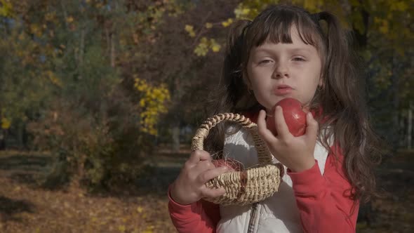 Basket with ripe apples.