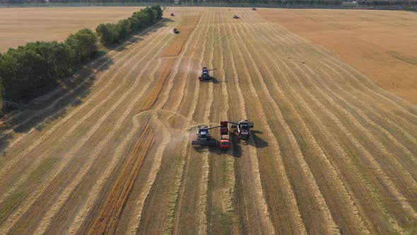 Harvesting Corn with a Combine and Grain Cart