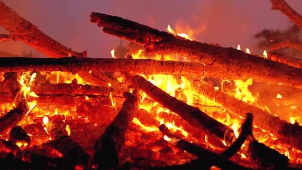 Big Bonfire of the Logs Burns at Night in the Forest