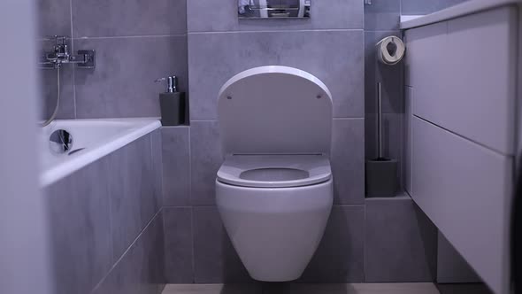 Automatic Smooth Closing of the Toilet Lid