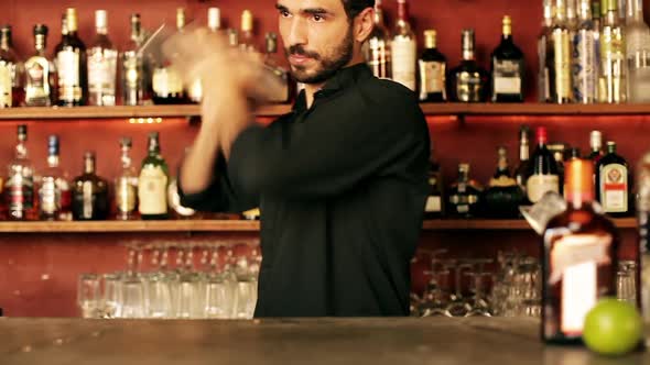 Bartender shaking cocktail