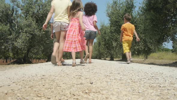 Five children walking down rural road