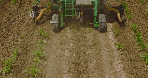 Tractor spreading fertilizer over young corn crops