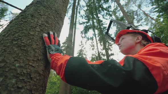 Portrait of a Female Logger Standing Near a Pine Tree a Young Specialist Woman in Protective Gear