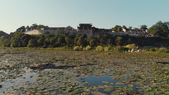 Pond with water lilies and stone walls