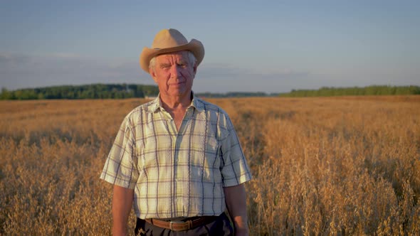 Elderly Caucasian Man In A Cowboy Hat Walk In A Field Of Wheat At Sunset