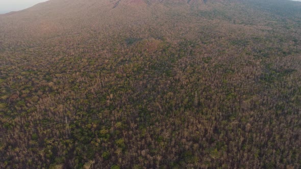 Tropical Landscape with Mountain Indonesia alt