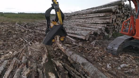 Aerial view of Harvester Cutting Tree Trunk in field near the forest 04