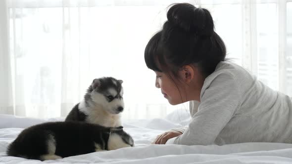 Cute Asian Girl Playing With Siberian Husky Puppy Slow Motion