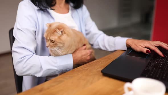 Senior woman is working on a notebook, laptop and holding cat