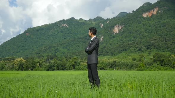Asian Businessman On Rice Fields