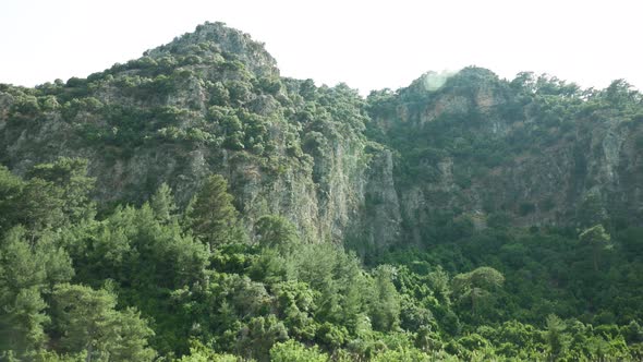 Big green rock with trees on a sunny day