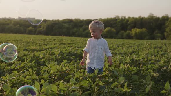 Child a Handsome Boy Plays in a Field in the Summer He Catches Blowing Soap Bubbles