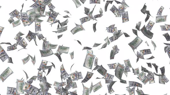 Money Rain Dollar Bills Falling