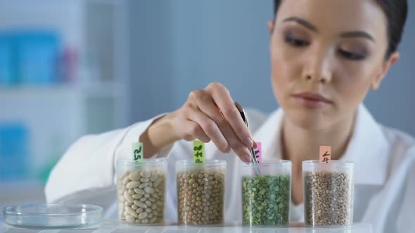 Asian Lab Worker Examining Peas Grains and Making Report on Tablet, Control
