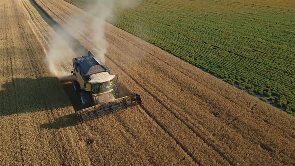 Harvester Combine Working in the Field