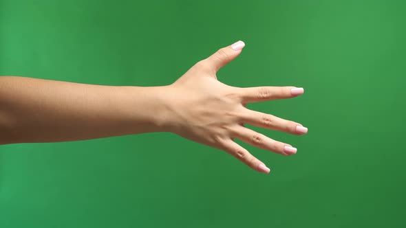 Woman Hand Showing Five Fingers On Green Screen Background, Stop Concept With Hand Up