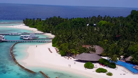 Aerial drone nature of island beach wildlife by sea and sand background