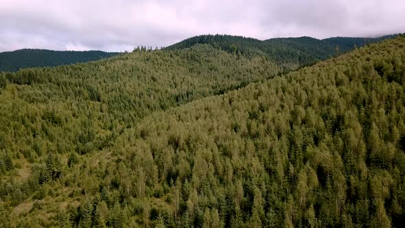 Aerial of Flying Over a Beautiful Green Forest in a Mountains Landscape,