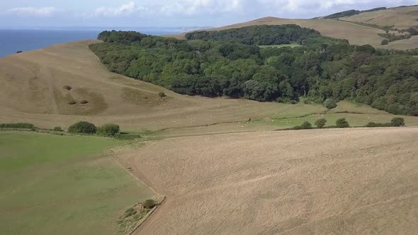 Wide aerial tracking over the Dorset fields surrounding the sub tropical gardens at Abbotsbury near