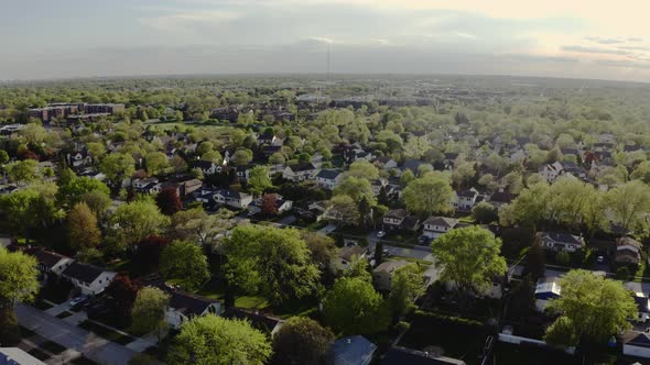 Aerial Drone View of American Suburb at Summer Time