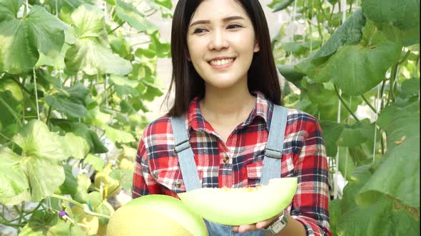 Young Asian Female Farmer Having a Slice of Melon and Smell the Taste in Watermelon Farm Field