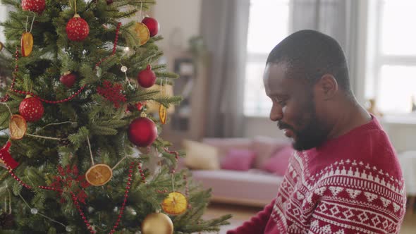 Afro-American Couple Decorating Christmas Tree at Home