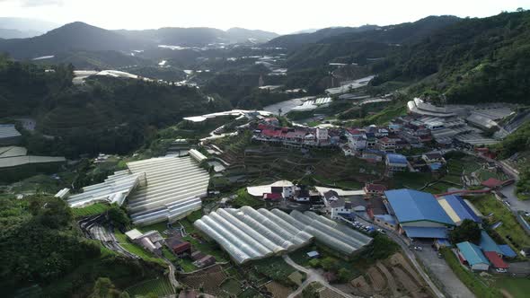 Cameron Highlands, Pahang Malaysia