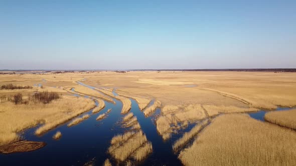 Aerial view of the lake overgrown with brown reeds, lake Pape nature park, Rucava, Latvia, sunny spr