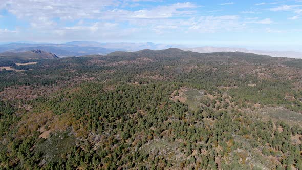 Pine Valley During Dry Fall Season, California