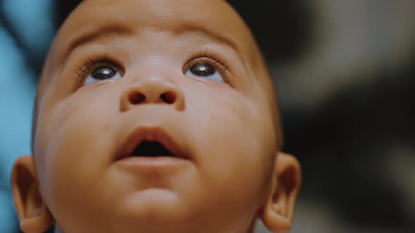 Portrait of Adorable Curious Multiracial Dark Skin Baby Looking Up